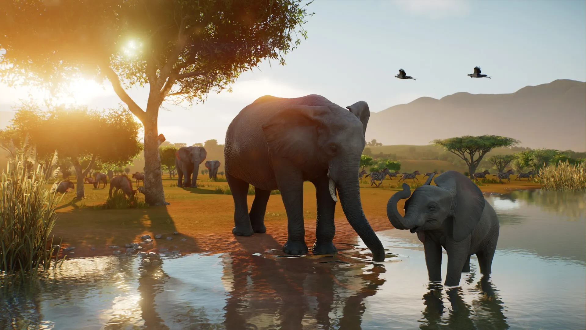 Planet Zoo 2 screenshot: an adult elephant and a calf stand in a shallow watering hole at sunset, with a broad savanna tree, more elephants and distant hills behind them.